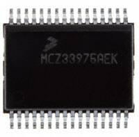 MCZ33905BS5EK